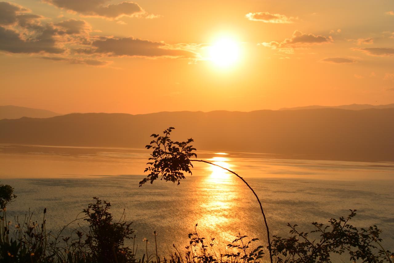 Paradise Nest Hotel Ohrid Exterior photo